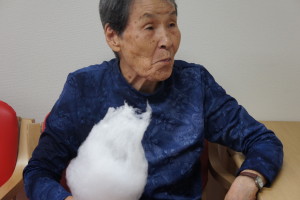SONY DSC